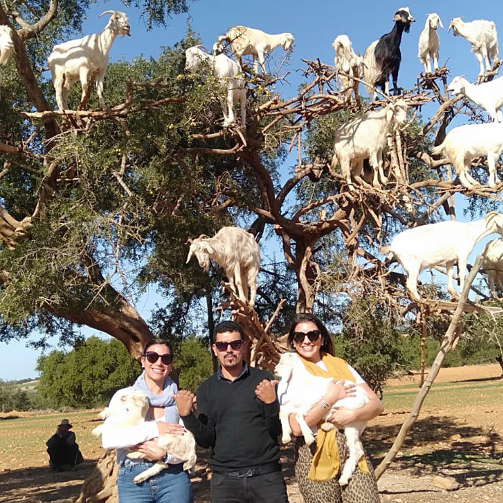 Taxi Marrakech Essaouira